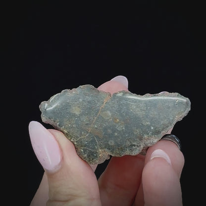 Meteorite - NWA 12230 - Polymict