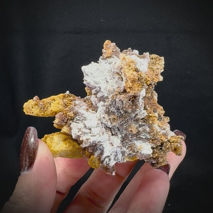 Creedite