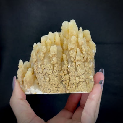 Stalactite Formation (Calcite)