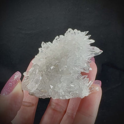 Chrysanthemum Stone