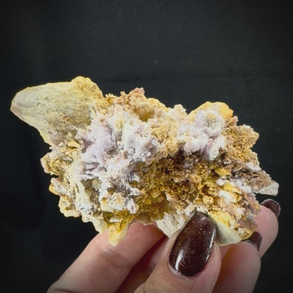 Creedite