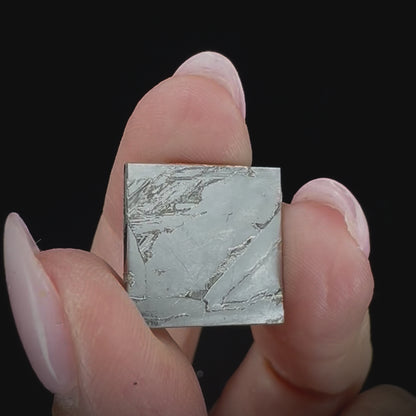 Meteorite - Seymchan - Iron