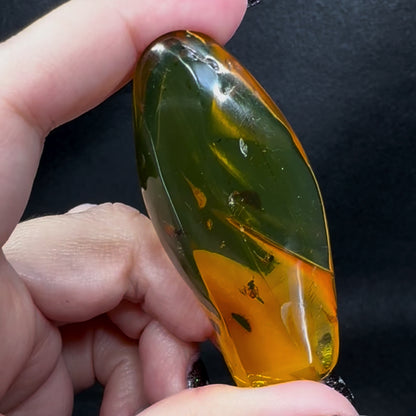 Amber w/ Insect Inclusions