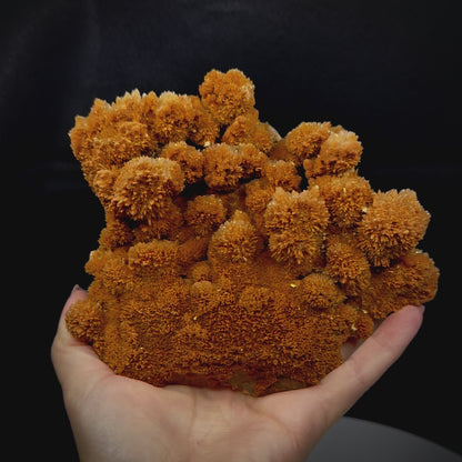 Calcite Stalactite