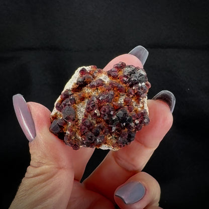 Garnet