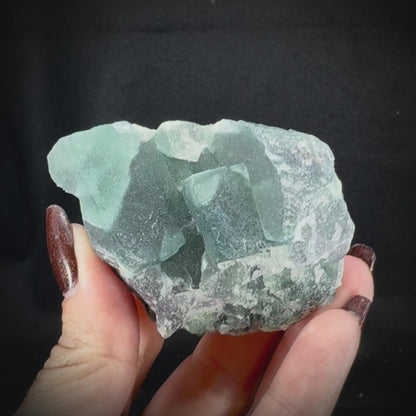 Fluorite Cubes on Matrix