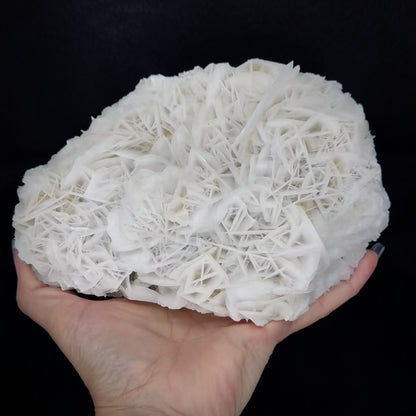 Rose Calcite