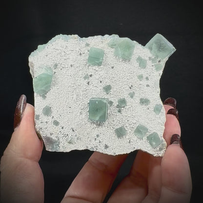 Fluorite Cubes on Matrix