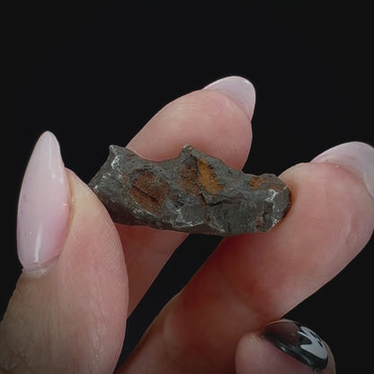 Meteorite - Sikhote-Alin - Octahedrite