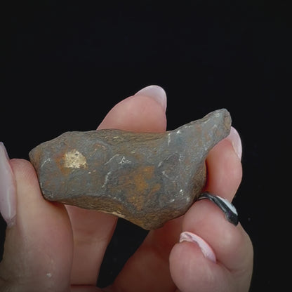 Meteorite - Canyon Diablo -Octahedrite