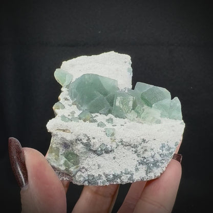 Fluorite Cubes on Matrix