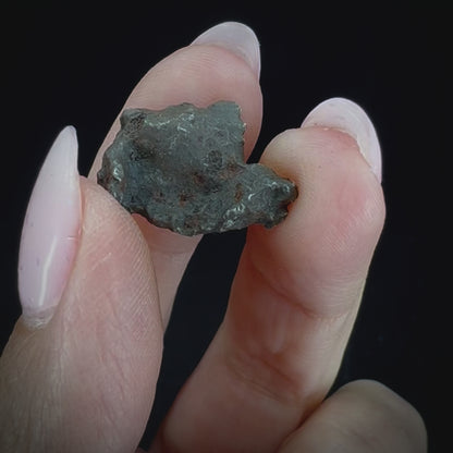 Meteorite - Sikhote-Alin - Octahedrite