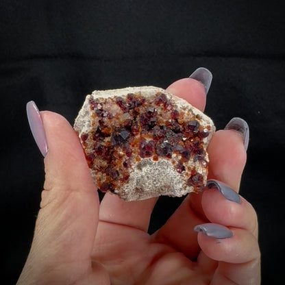 Garnet