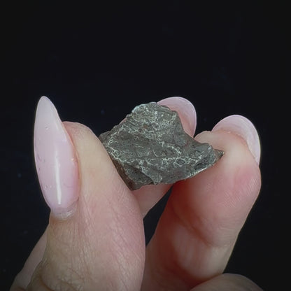Meteorite - Sikhote-Alin - Octahedrite