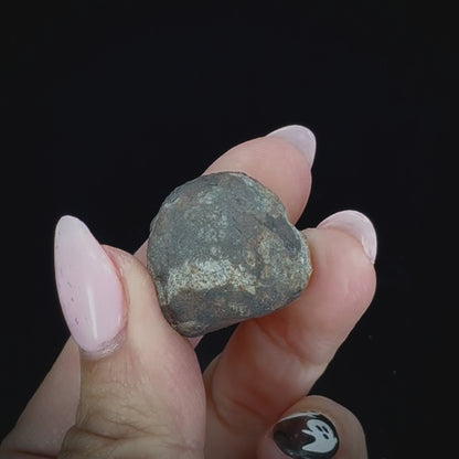 Meteorite - Vinales - Chondrite