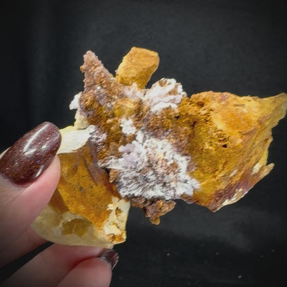 Creedite