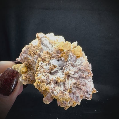 Creedite