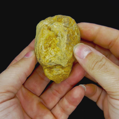 Trilobite Geodes