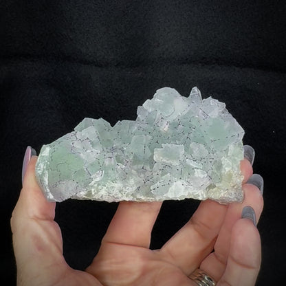 Fluorite QR