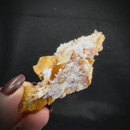 Creedite
