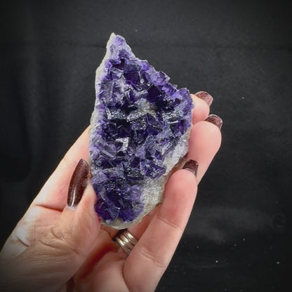 Fluorite Purple (Med/Lg)