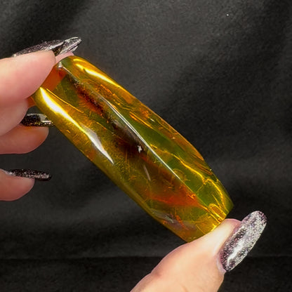 Amber w/ Insect Inclusions
