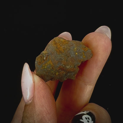 Meteorite - Sericho - Iron