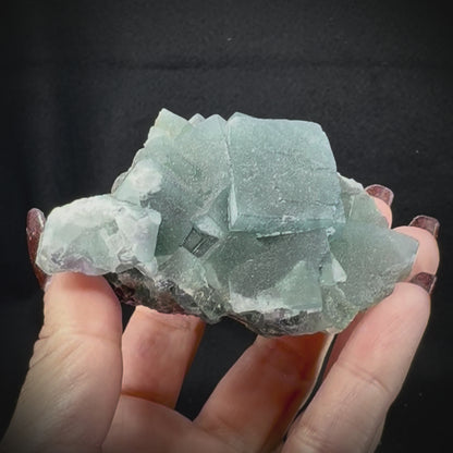Fluorite Cubes on Matrix