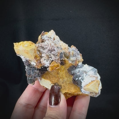 Creedite