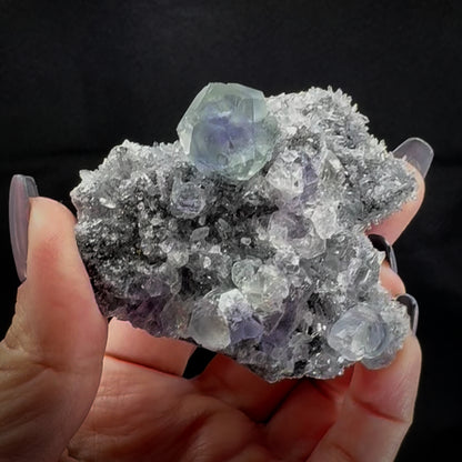 Tanzanite Fluorite