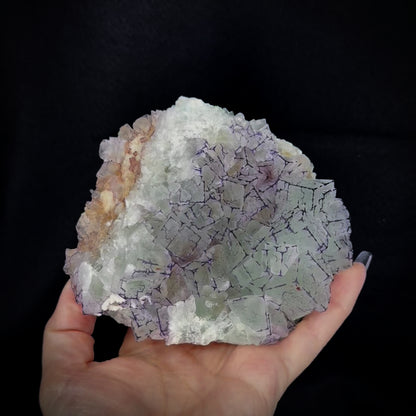 Fluorite QR