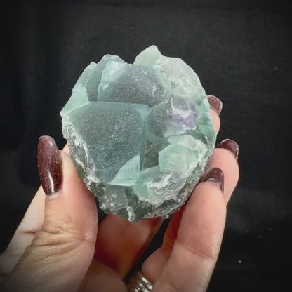 Fluorite Cubes on Matrix