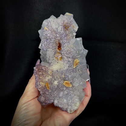 Fluorite QR