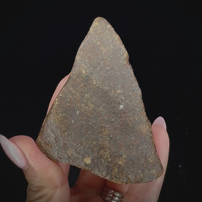Meteorite - Dar el Kahal - Chondrite