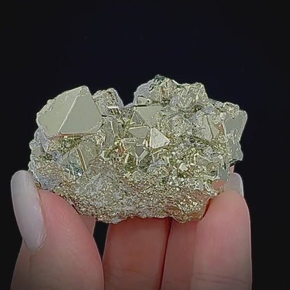 Octahedral Pyrite