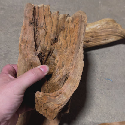 Driftwood - Mahogany Root