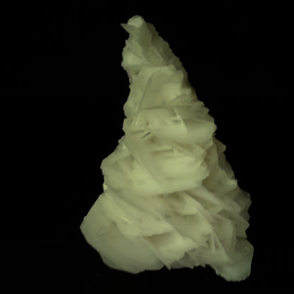 Rose Calcite