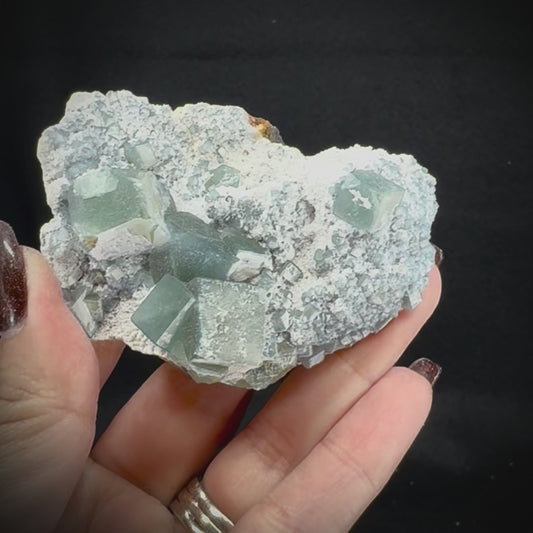 Fluorite Cubes on Matrix