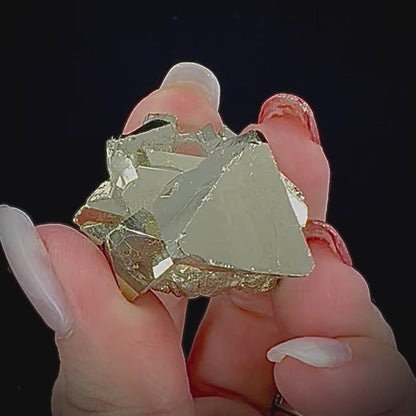 Octahedral Pyrite