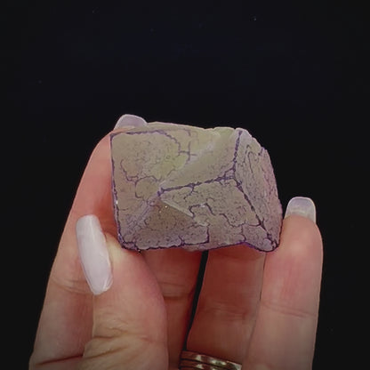 Fluorite QR