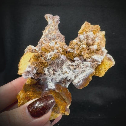Creedite