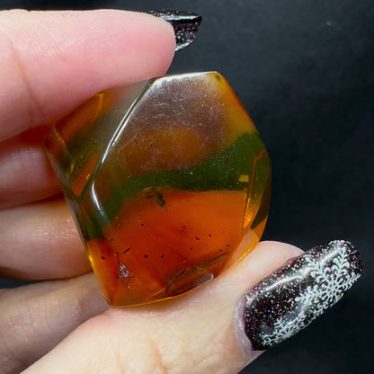 Amber w/ Insect Inclusions