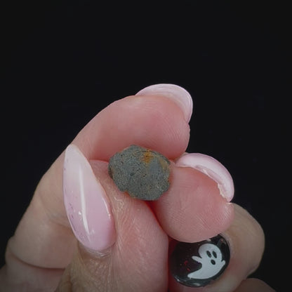 Meteorite - Chelyabinsk - Chondrite