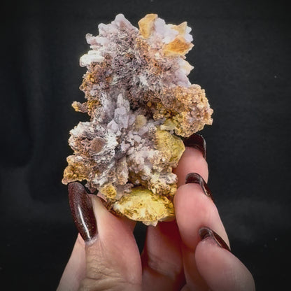 Creedite