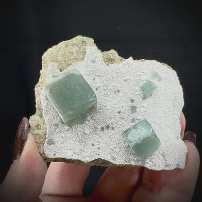 Fluorite Cubes on Matrix