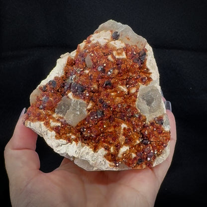 Garnet