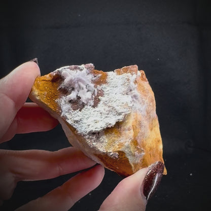 Creedite