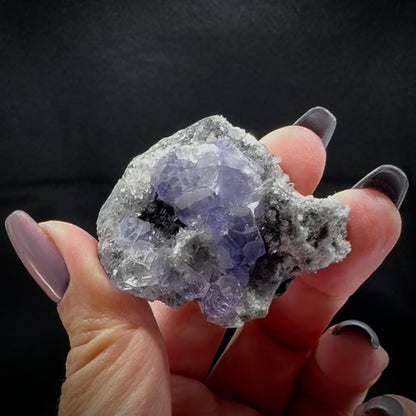 Tanzanite Fluorite