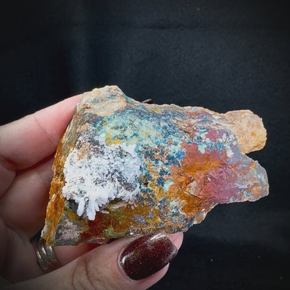 Creedite