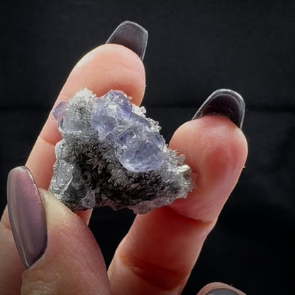 Tanzanite Fluorite